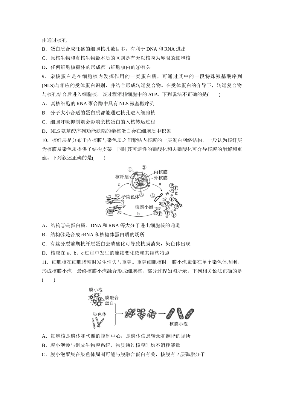 第2单元　课时练3　细胞核的结构和功能.docx_第3页
