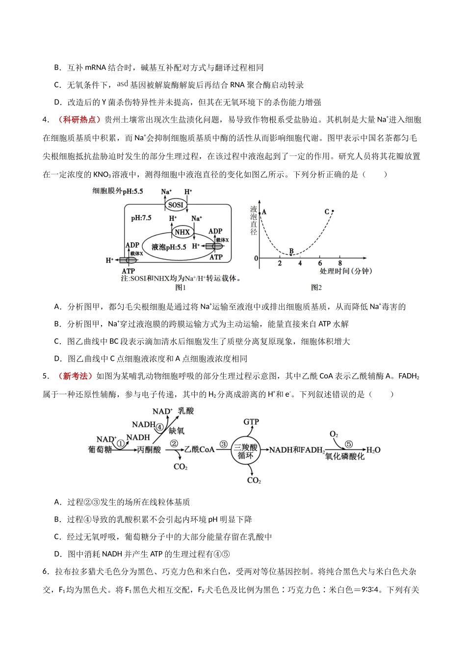 生物二模模拟卷03(新高考通用)(考试版).docx_第2页