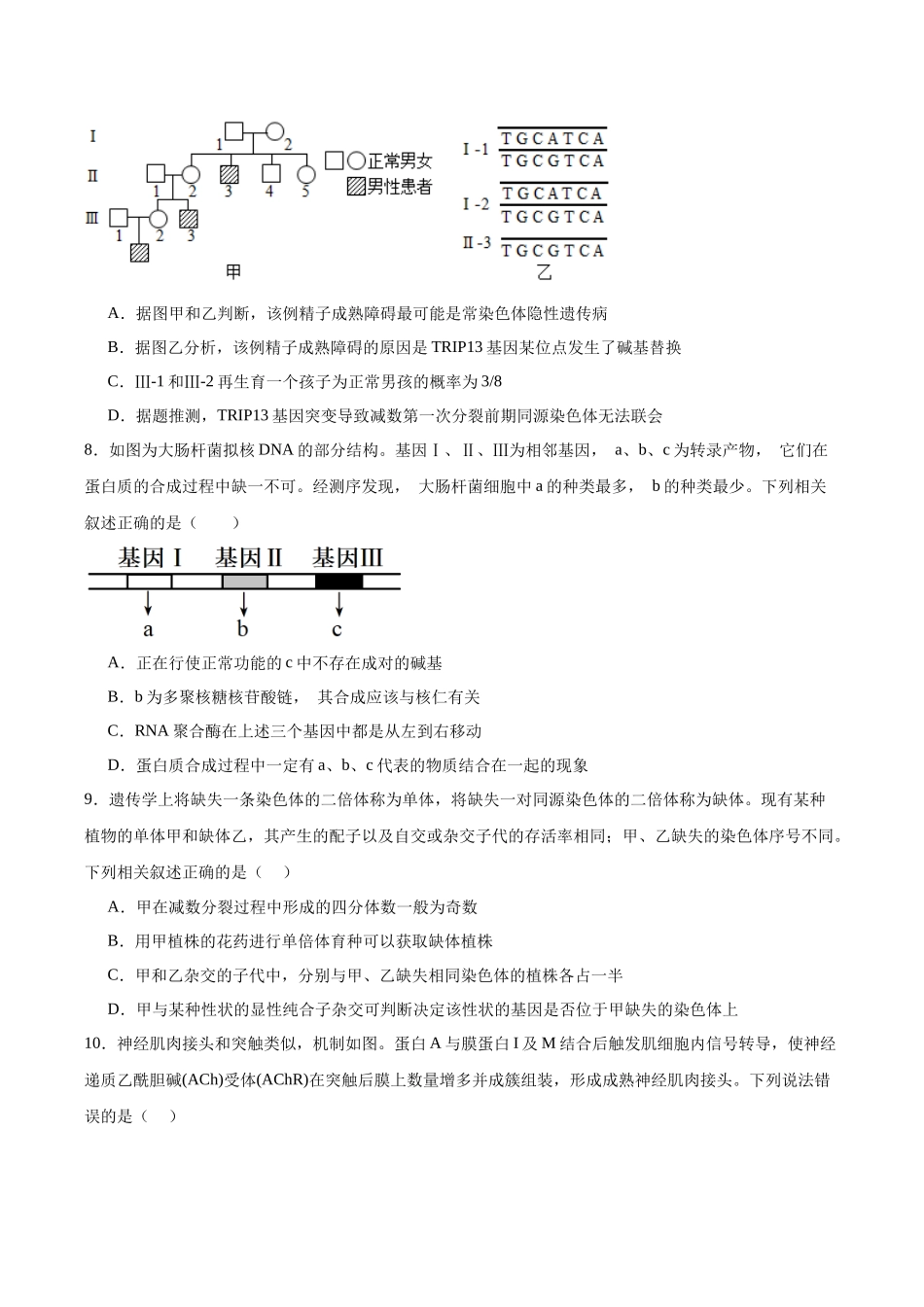 生物一模保分卷(湖北专用)(考试版).docx_第3页