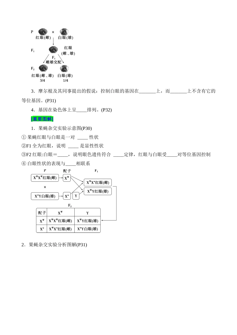 第2章 基因和染色体的关系（填空版）.docx_第3页