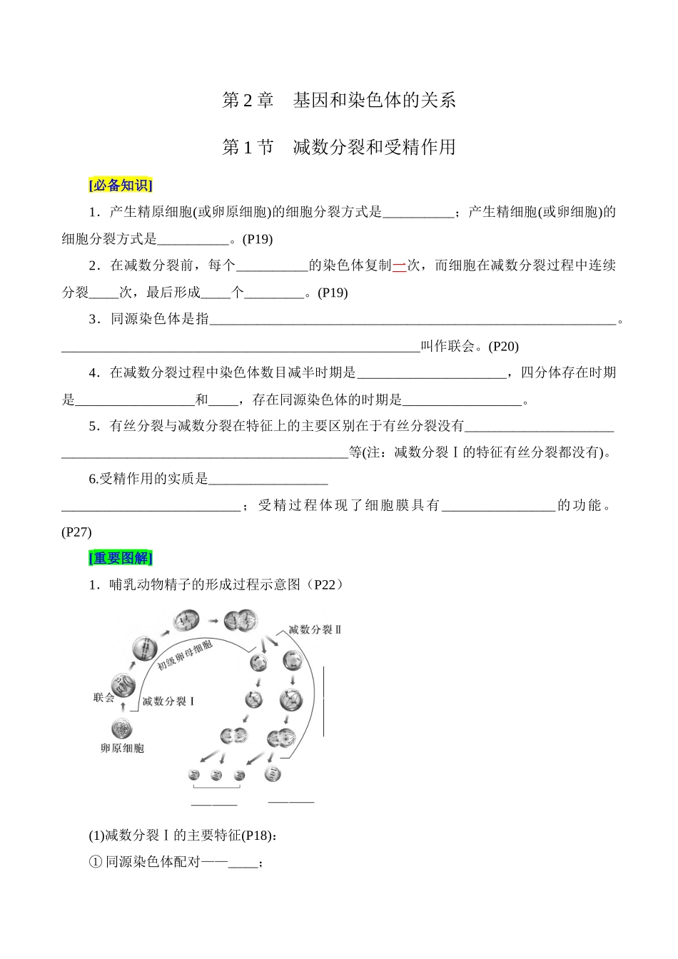 第2章 基因和染色体的关系（填空版）-4页.docx_第1页