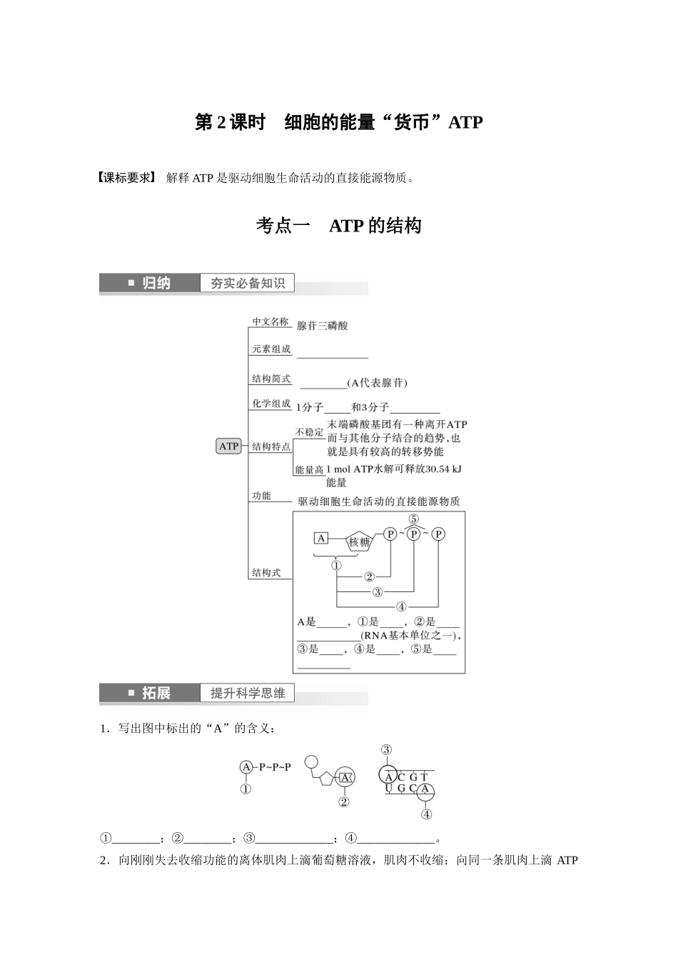 第3单元 第2课时 细胞的能量“货币”ATP.docx_第1页