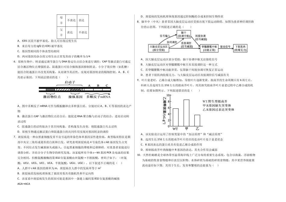 生物一模模拟卷03(新高考全国通用,15+5+5)(考试版A3).docx_第2页