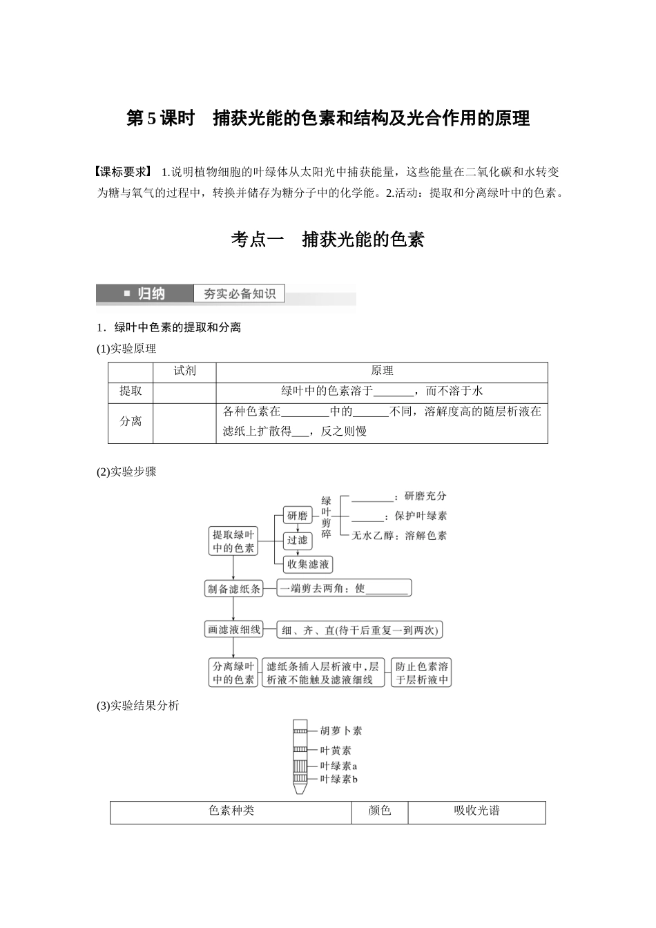 第3单元 第5课时 捕获光能的色素和结构及光合作用的原理.docx_第1页