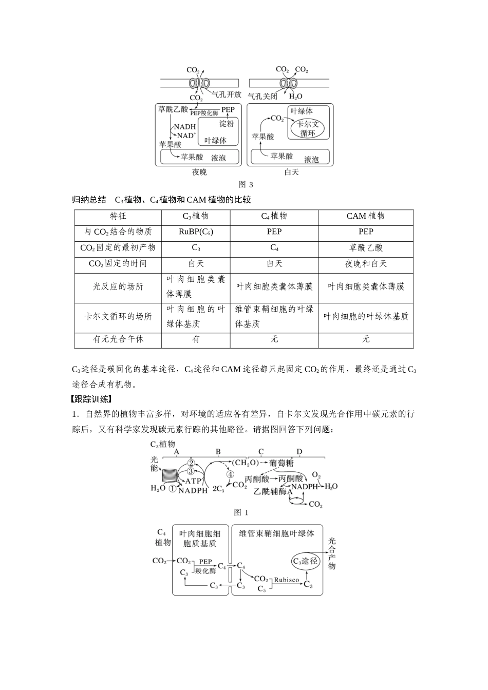 第3单元 解惑练1 C3植物、C4植物和CAM植物.docx_第2页