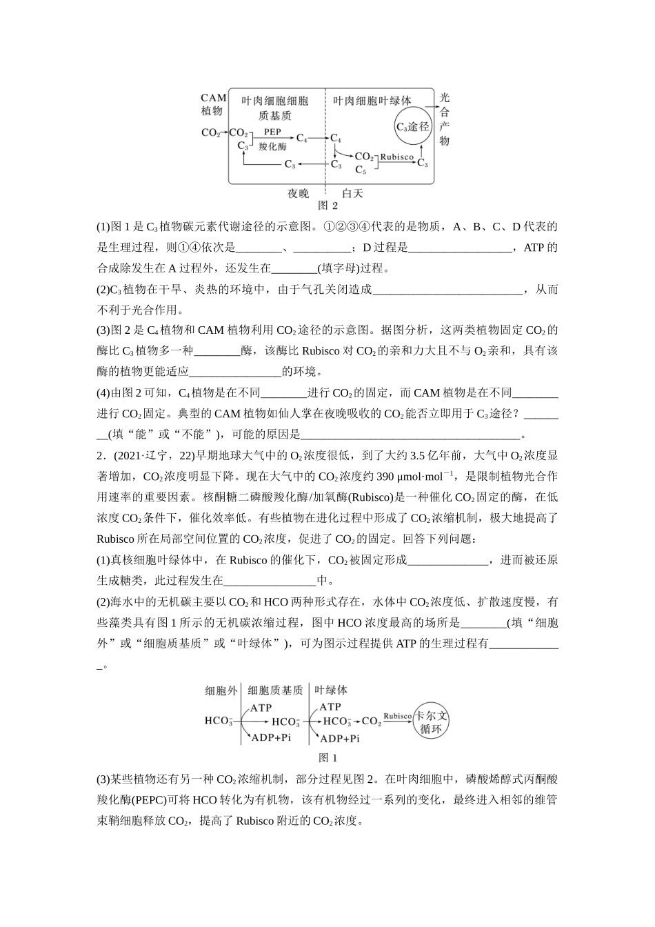 第3单元 解惑练1 C3植物、C4植物和CAM植物.docx_第3页