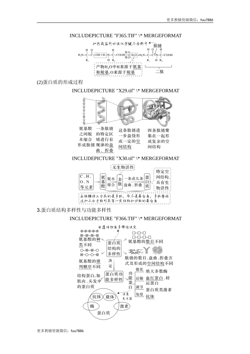 第3讲 蛋白质和核酸.doc_第2页