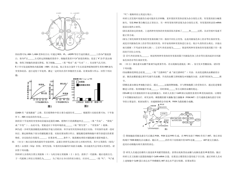 生物一模提分卷(课标全国通用)(考试版A3).docx_第2页