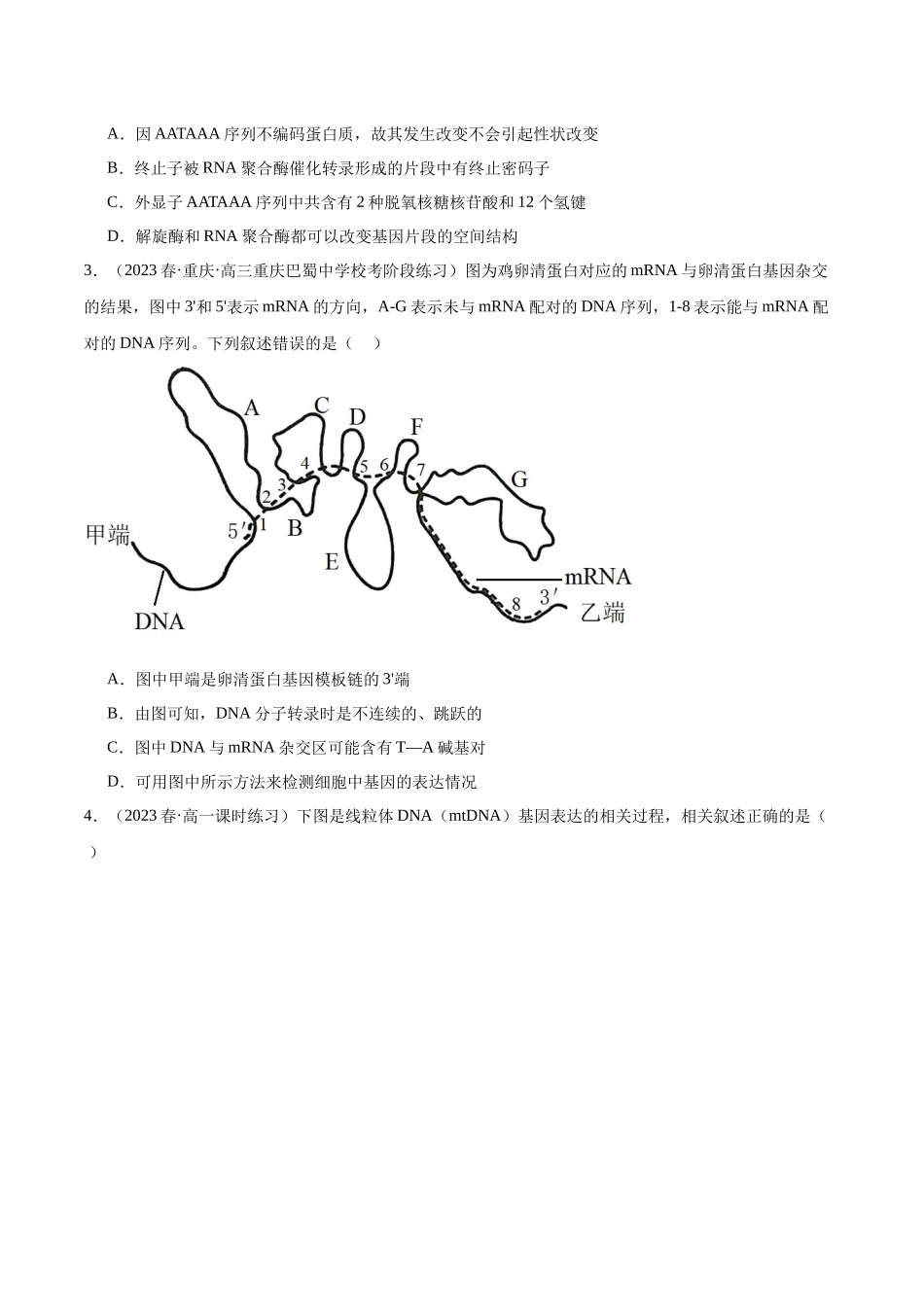第3讲 基因指导蛋白质的合成(原卷版).docx_第3页