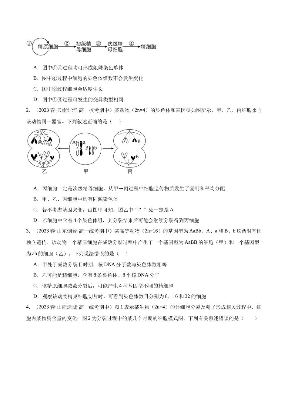 第3讲 减数分裂和受精作用(原卷版).docx_第3页