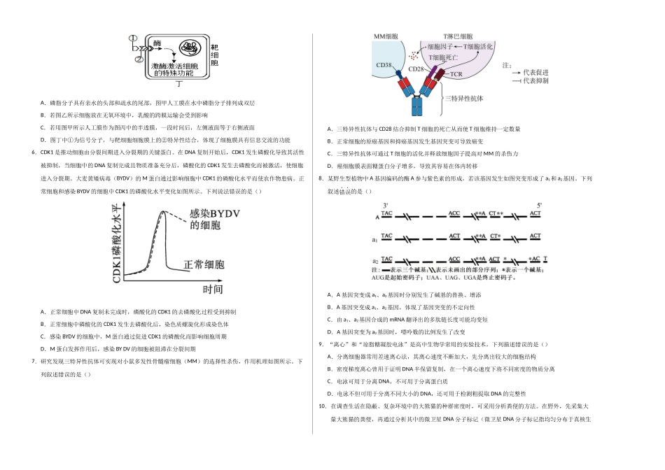 生物一模提分卷01(广东专用)(考试版A3).docx_第2页