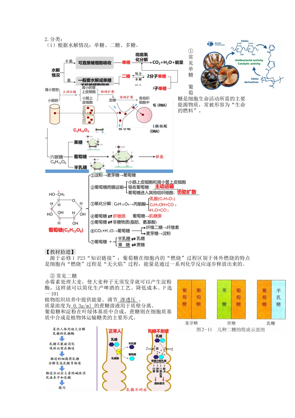 第3讲 糖类和脂质（讲义）（学生版）.docx_第2页