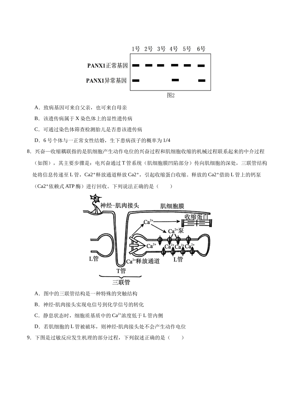 生物一模提分卷01(山东专用)(考试版).docx_第3页