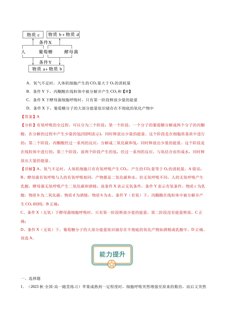 第3讲 细胞呼吸(解析版).docx_第3页
