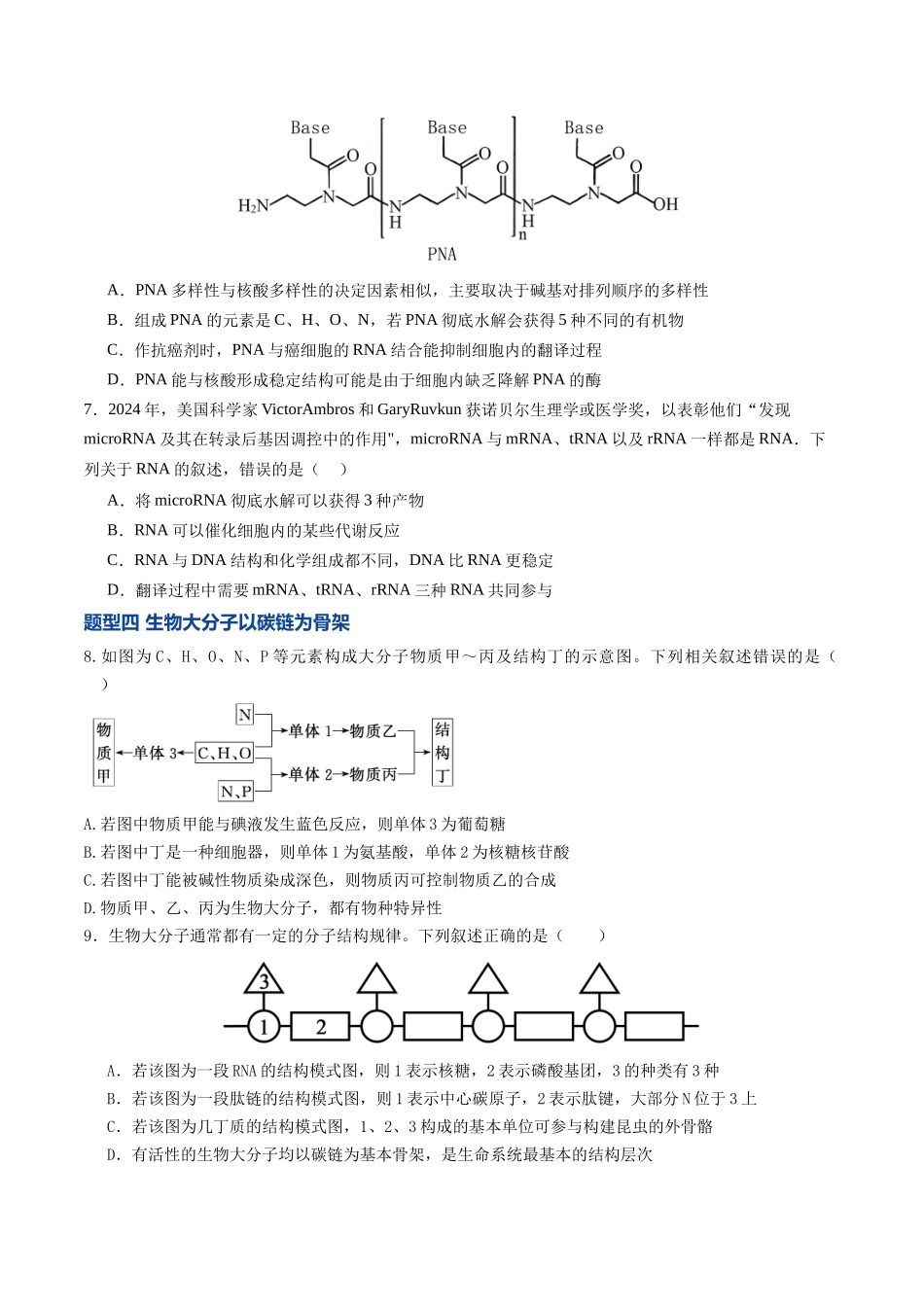 第04讲  蛋白质和核酸（专项训练）（福建专用）（学生版）.docx_第3页