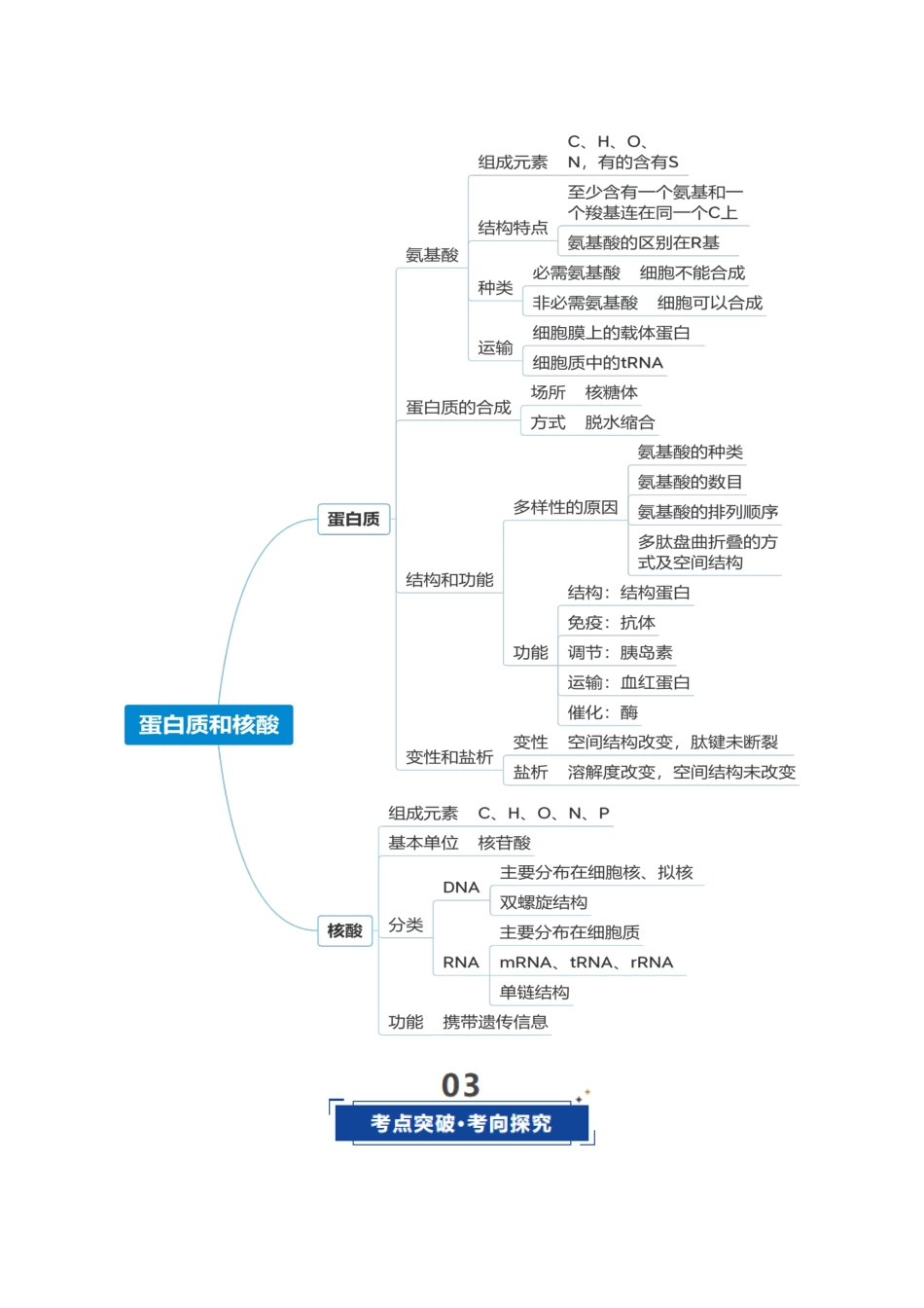 第04讲 蛋白质和核酸(复习讲义)(全国通用)(教师版).docx_第3页