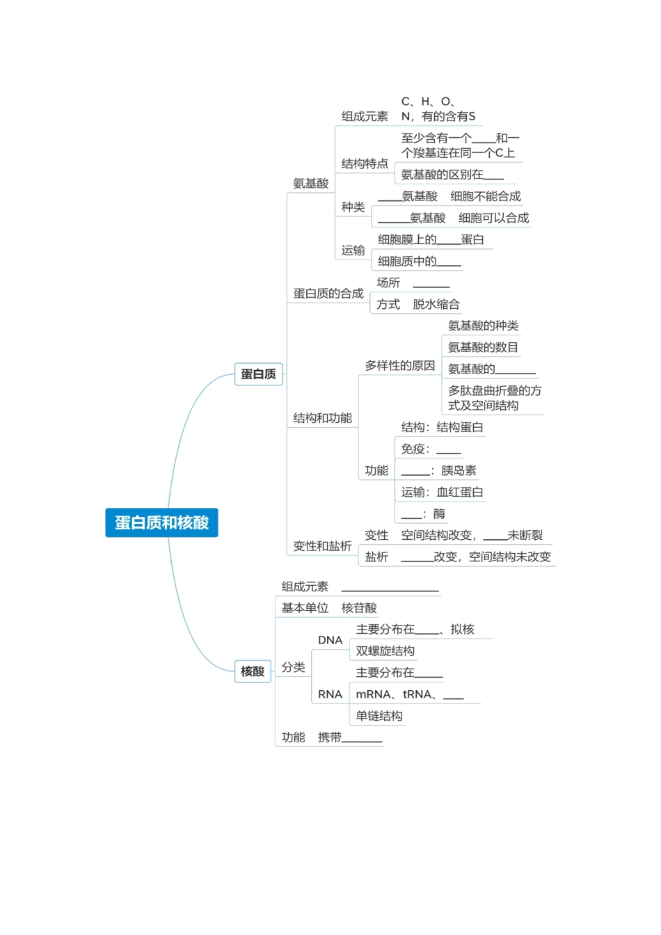 第04讲 蛋白质和核酸（复习讲义）（全国通用）（学生版）.docx_第3页