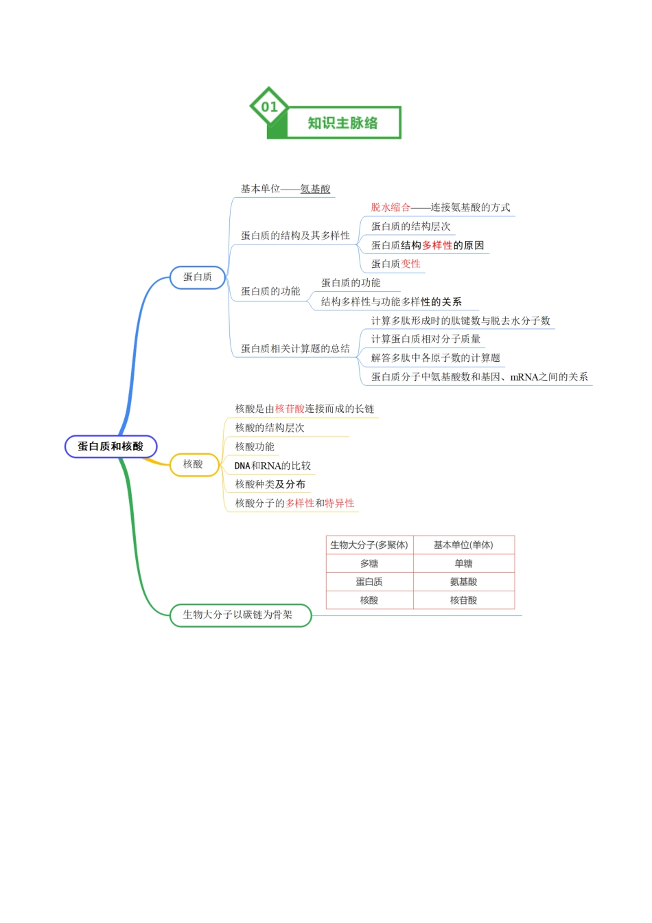 第04讲 蛋白质和核酸(知识清单)(全国通用)(教师版).docx_第2页