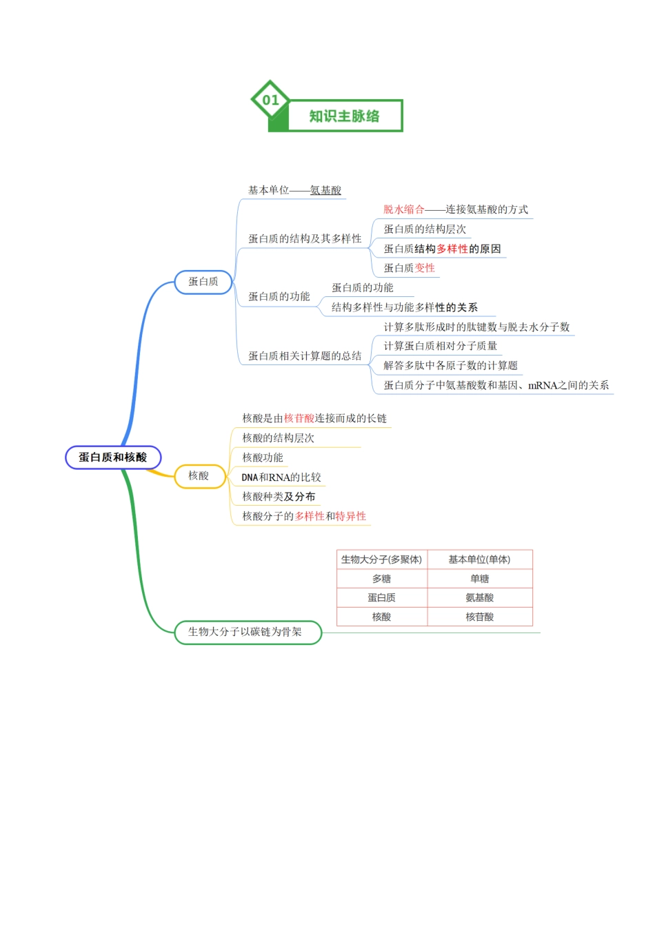 第04讲 蛋白质和核酸(知识清单)(全国通用)(学生版).docx_第2页