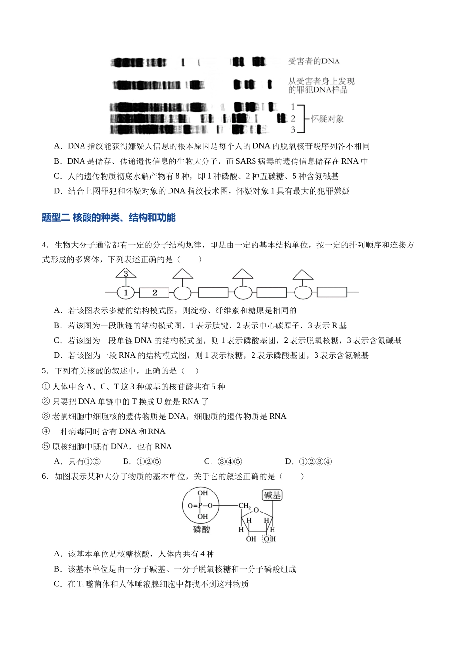 第04讲 蛋白质和核酸(专项训练)(安徽专用)(学生版).docx_第2页