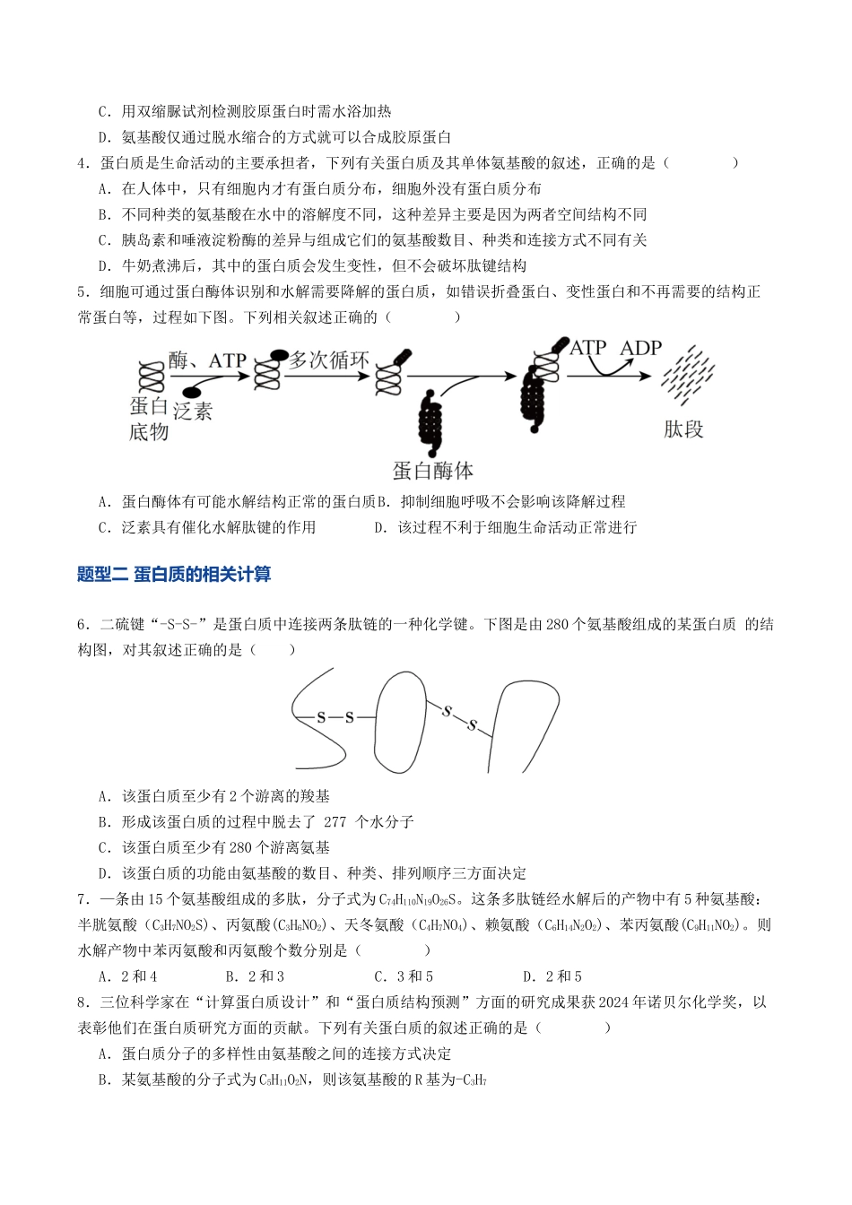 第04讲 蛋白质和核酸(专项训练)(学生版).docx_第2页
