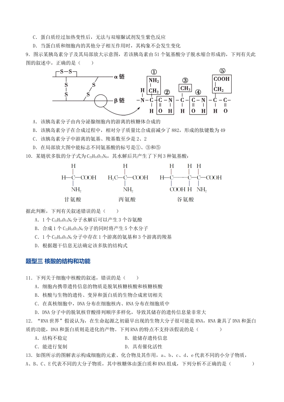 第04讲 蛋白质和核酸(专项训练)(学生版).docx_第3页