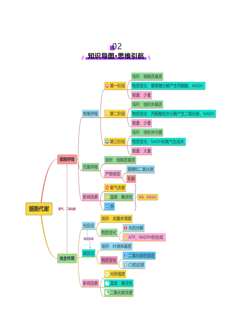 第04讲 细胞呼吸和光合作用(讲义)(教师版).docx_第3页