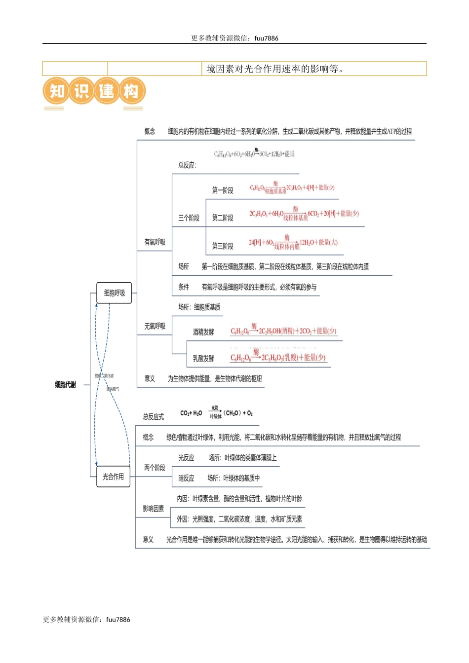 第04讲 细胞呼吸和光合作用(讲义)解析版.docx_第2页