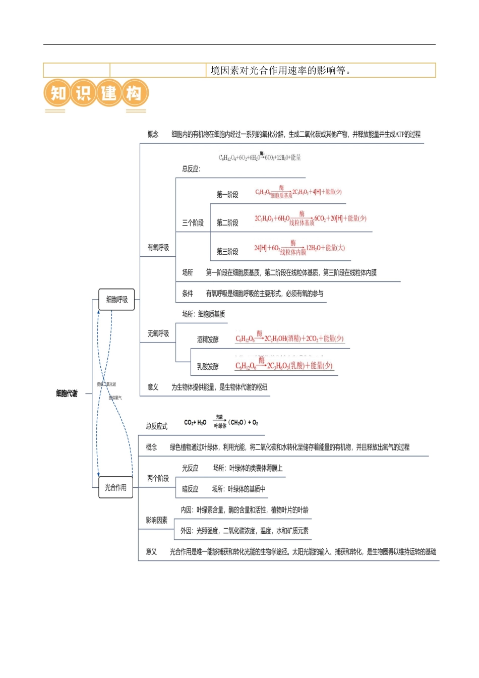 第04讲 细胞呼吸和光合作用（讲义）原卷版.docx_第2页