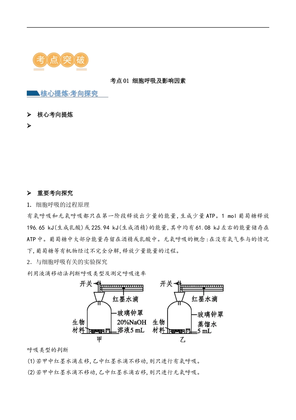 第04讲 细胞呼吸和光合作用（讲义）原卷版.docx_第3页