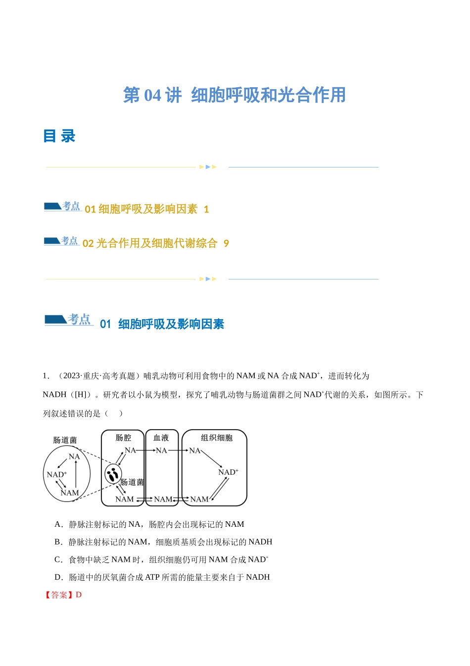 第04讲 细胞呼吸和光合作用（练习）（解析版）.docx_第1页