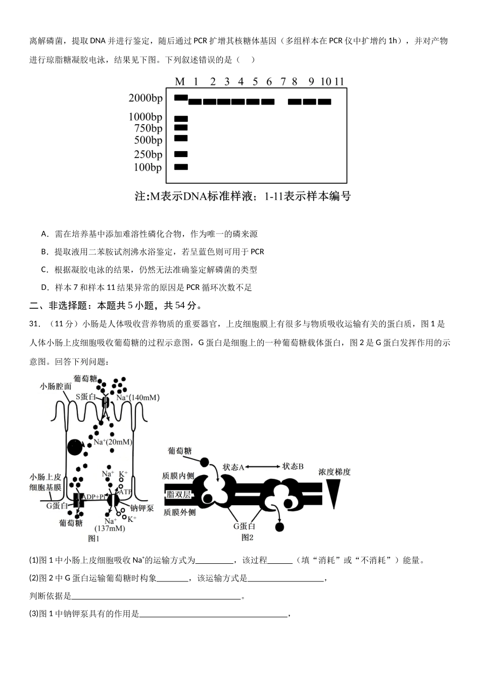 生物一模突破卷·理综拆分(课标全国通用)(考试版).docx_第3页