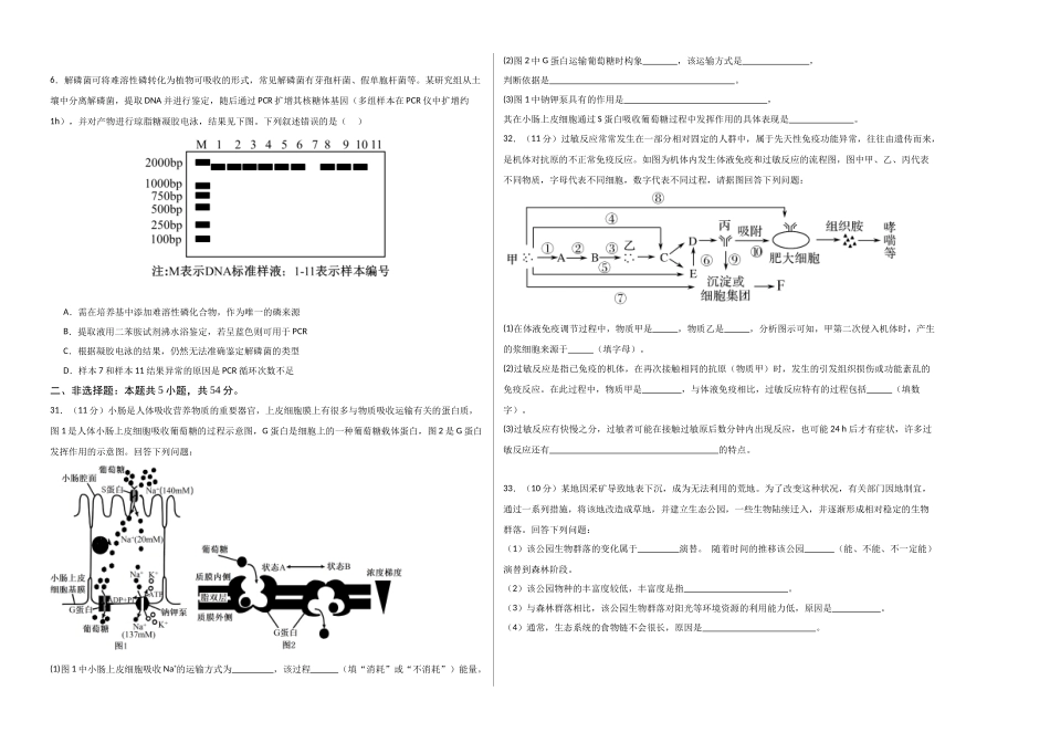 生物一模突破卷·理综拆分(课标全国通用)(考试版A3).docx_第2页