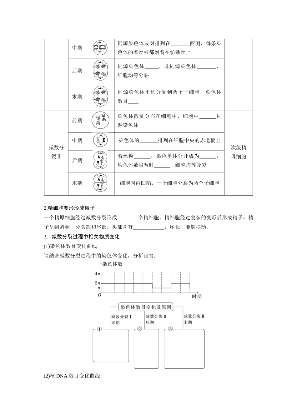 第4单元　第3课时　减数分裂和受精作用.docx_第3页