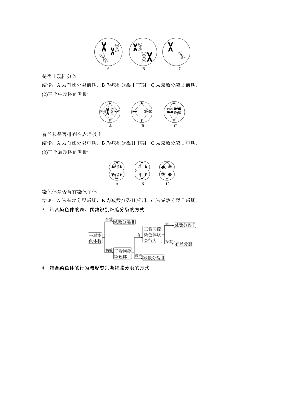 第4单元 第4课时 减数分裂与有丝分裂的比较及观察蝗虫精母细胞减数分裂装片.docx_第2页