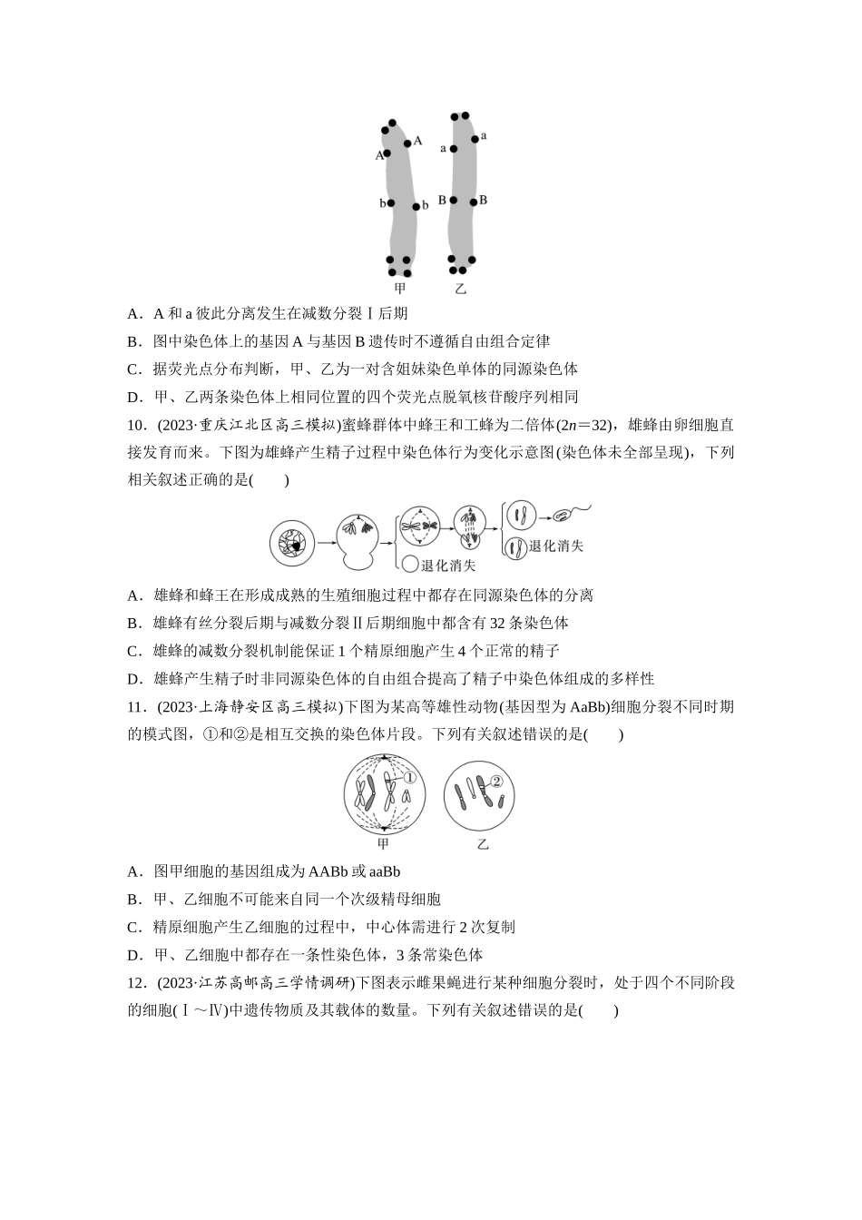 第4单元　课时练3　减数分裂和受精作用.docx_第3页