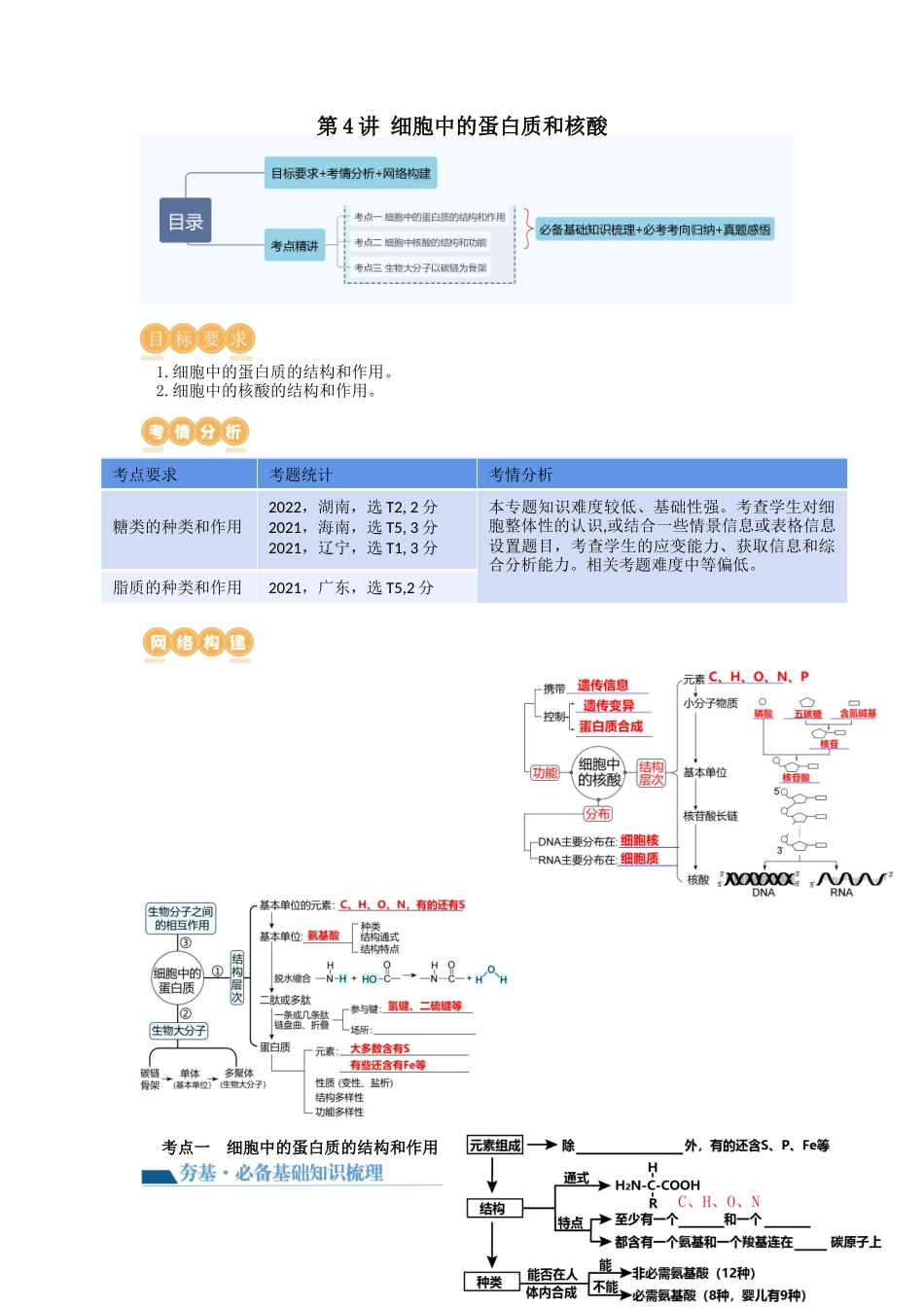 第4讲 细胞中的蛋白质和核酸(讲义)(教师版).docx_第1页