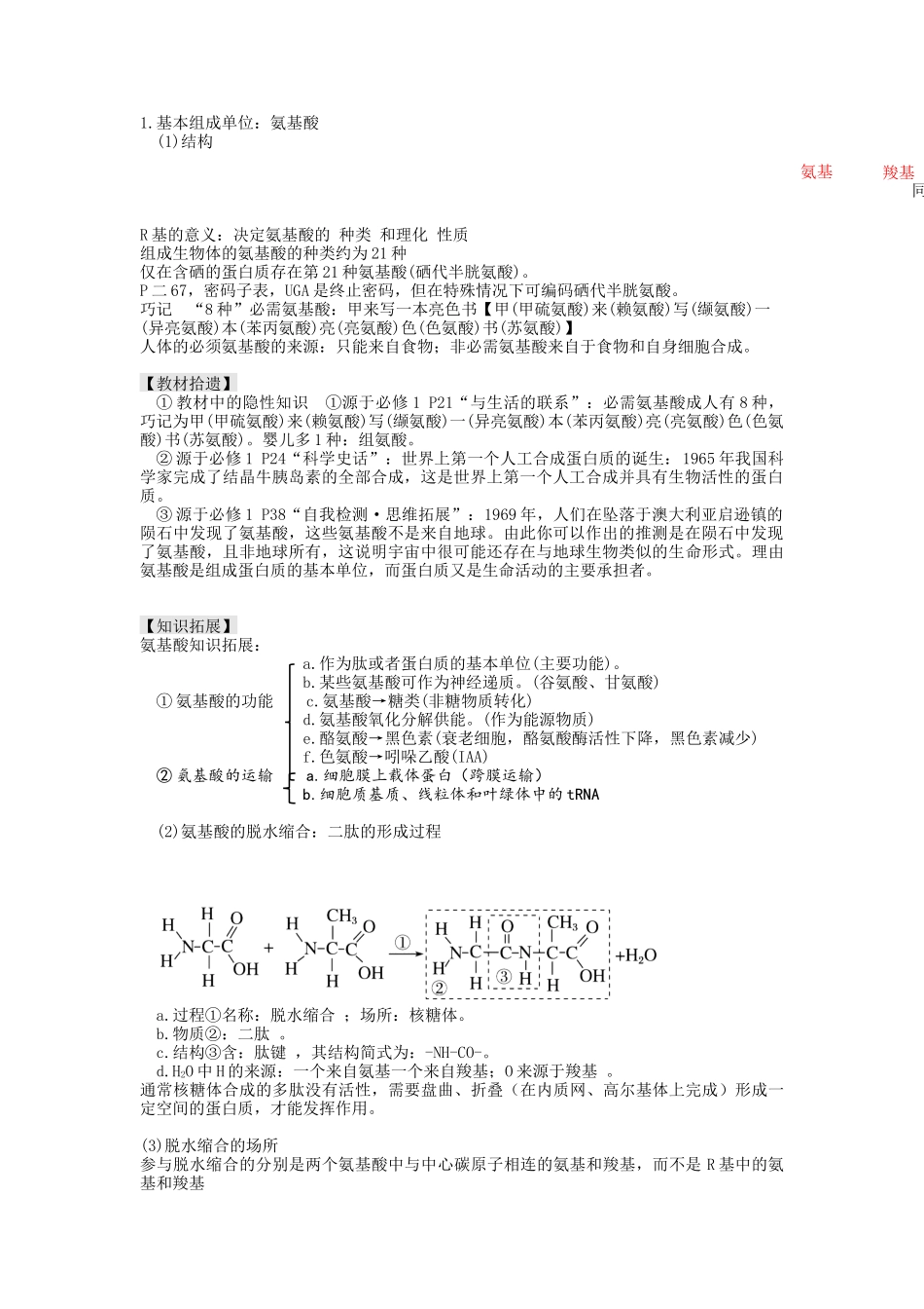 第4讲 细胞中的蛋白质和核酸(讲义)(教师版).docx_第2页