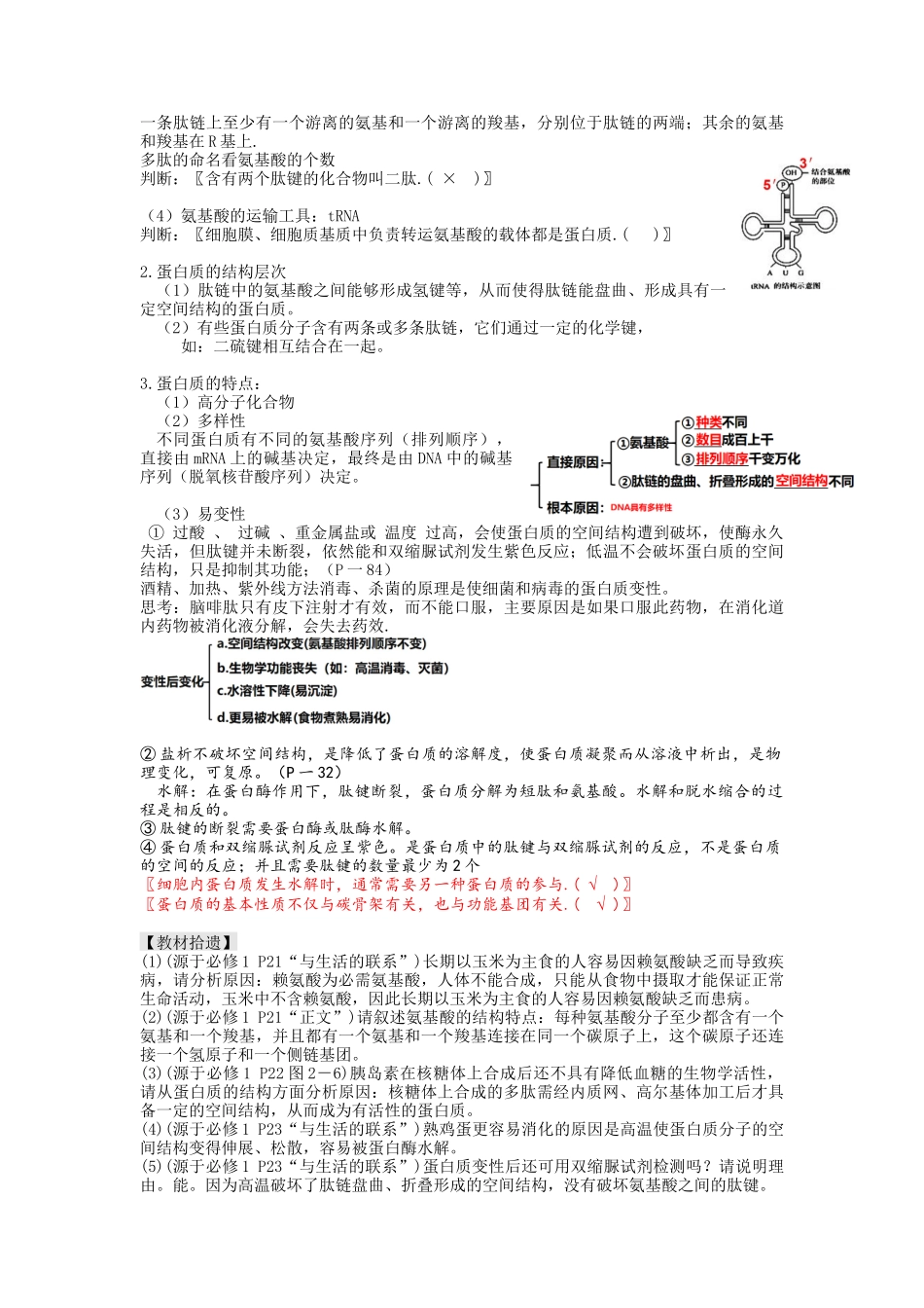 第4讲 细胞中的蛋白质和核酸(讲义)(教师版).docx_第3页