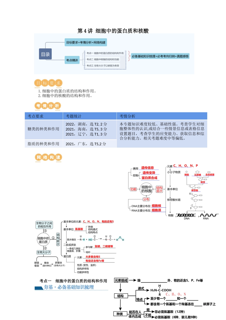 第4讲 细胞中的蛋白质和核酸(讲义)(学生版).docx_第1页