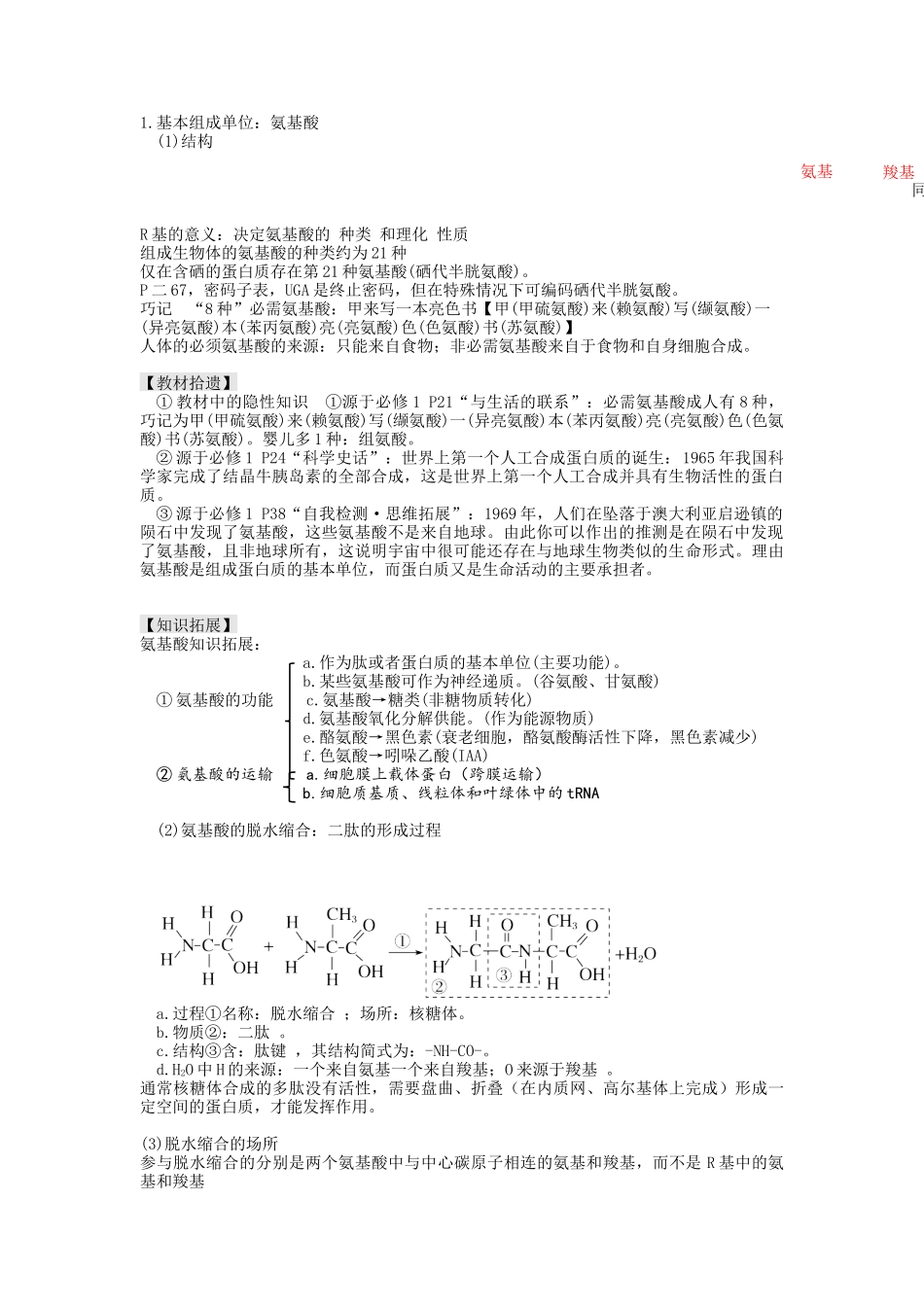 第4讲 细胞中的蛋白质和核酸(讲义)(学生版).docx_第2页
