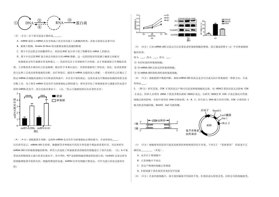 生物一模突破卷01(上海专用)(考试版A3).docx_第2页
