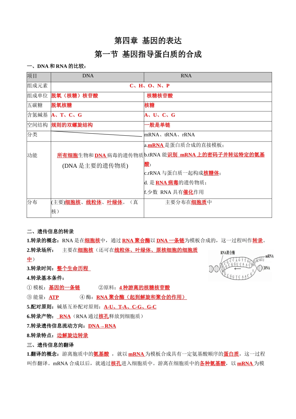 第4章 基因的表达(答案版).docx_第1页