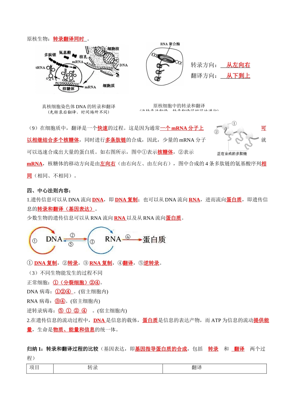 第4章 基因的表达(答案版).docx_第3页