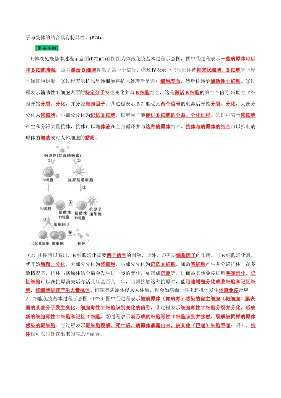 第4章 免疫调节(背诵版)-8页.docx_第3页