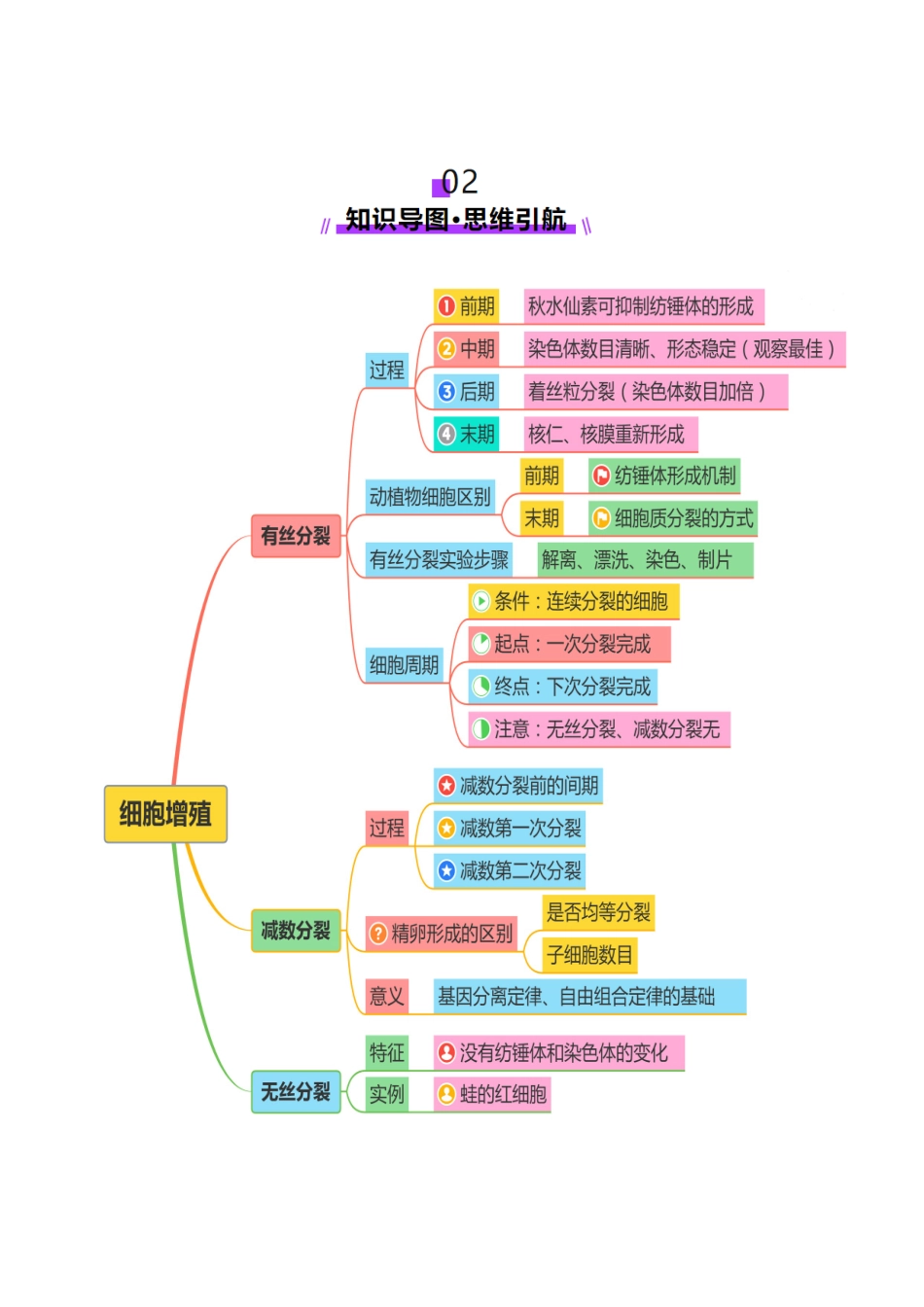 第05讲 细胞的增殖和减数分裂(讲义)(教师版).docx_第3页