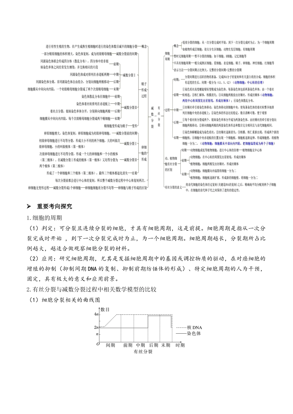 第05讲 细胞的增殖与受精作用（讲义）原卷版.docx_第3页