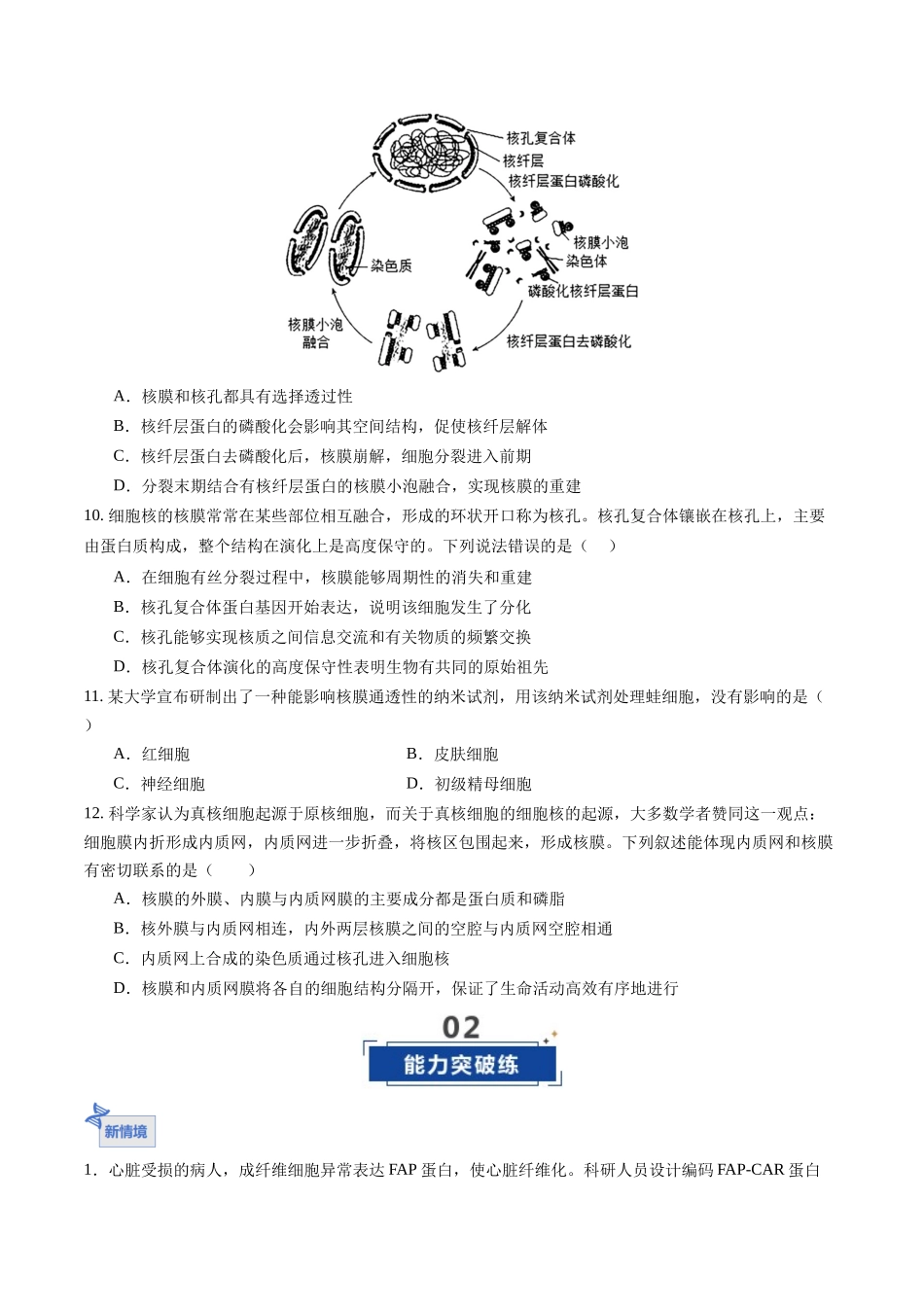 第05讲 细胞膜和细胞核 (专项训练)(福建专用)(学生版).docx_第3页