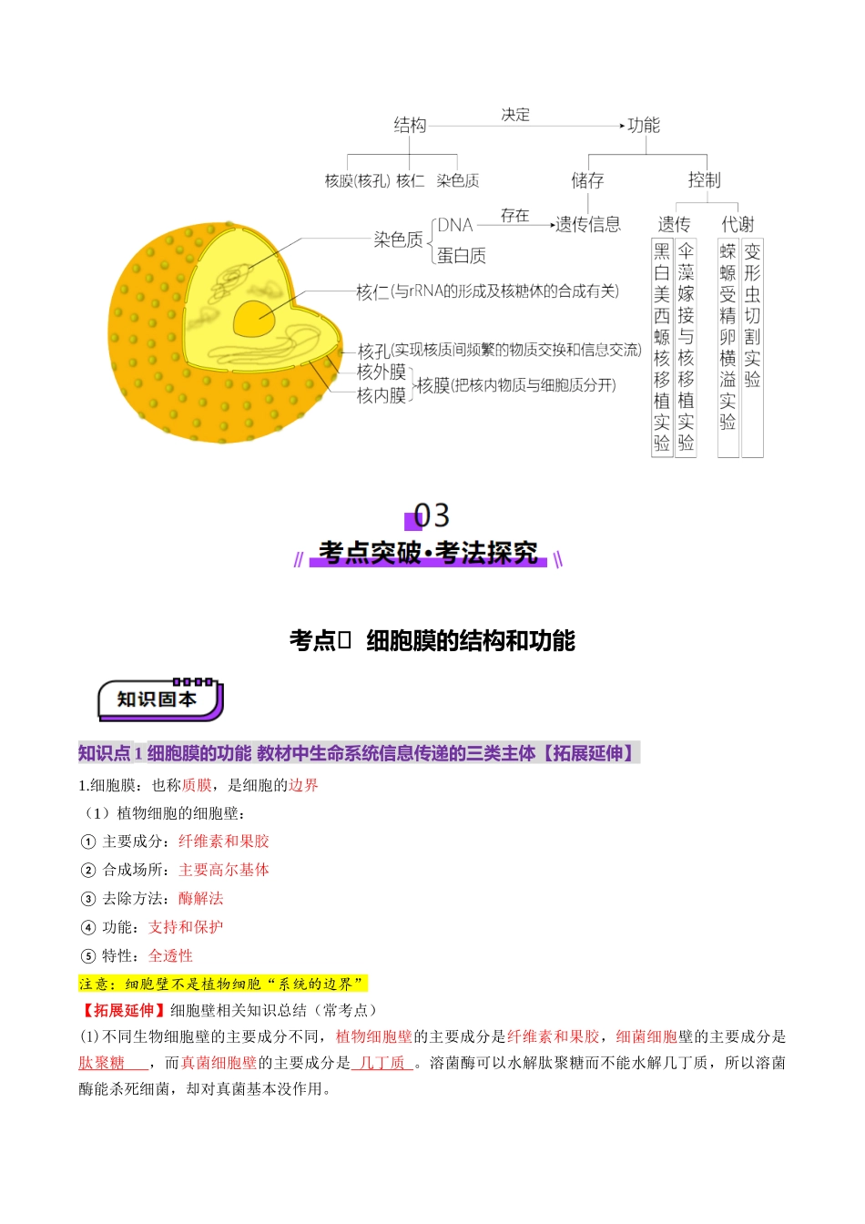 第05讲 细胞膜和细胞核（讲义）（教师版）.docx_第3页