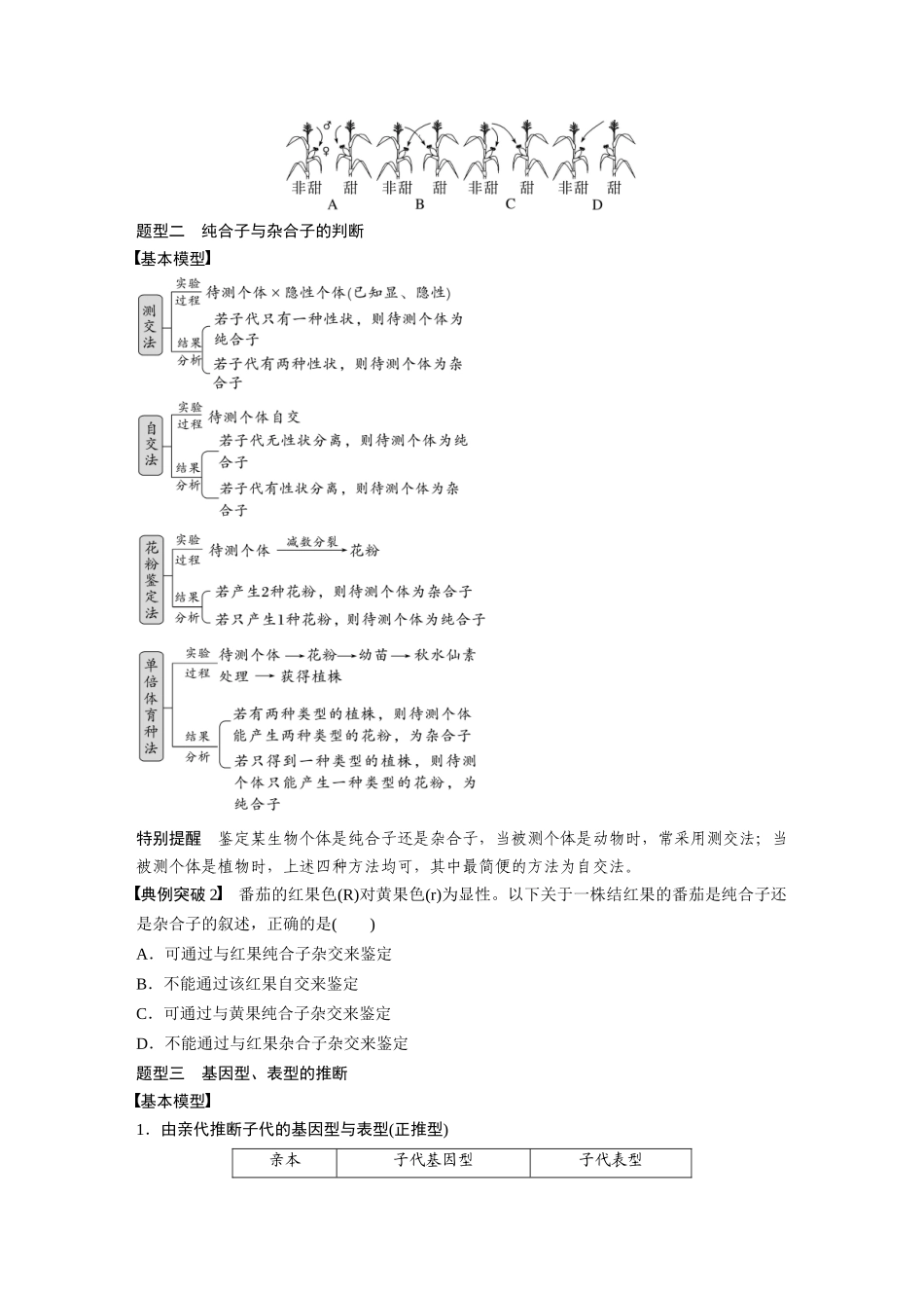 第5单元 第2课时 基因分离定律基础题型突破.docx_第2页